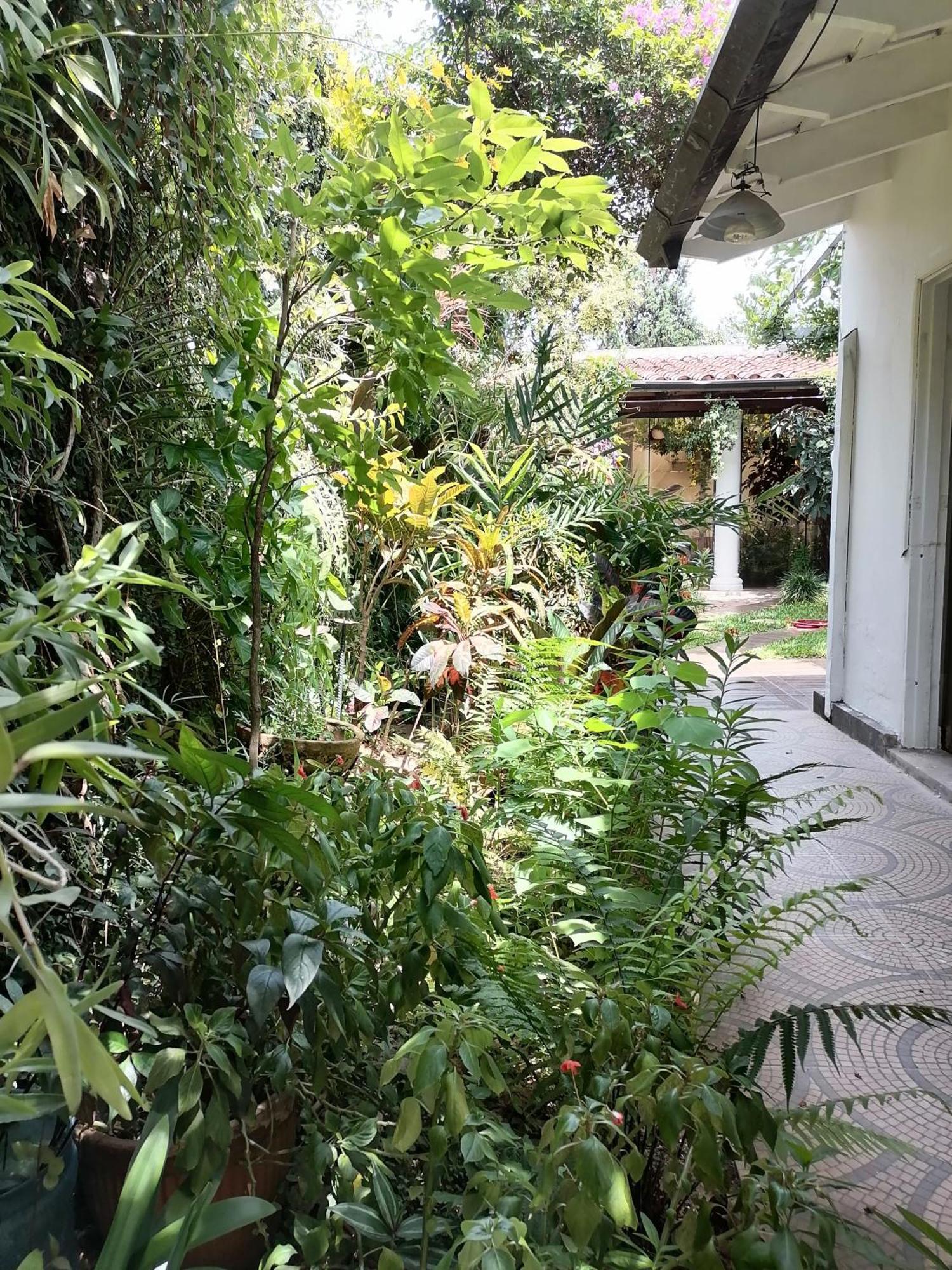 Granados B&B Assunção Exterior foto