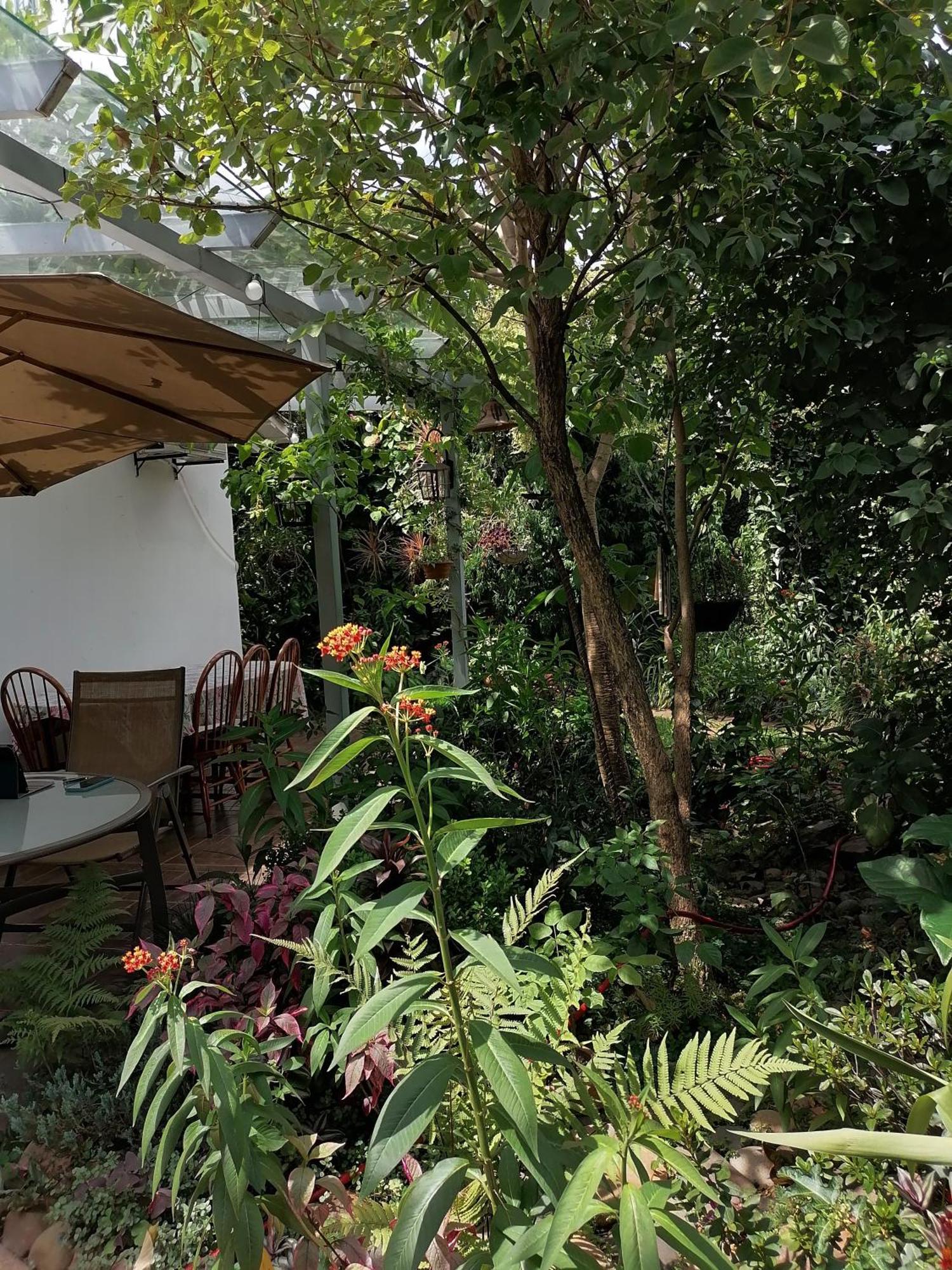 Granados B&B Assunção Exterior foto